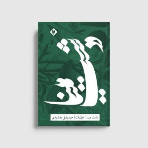 طرح اولیه روی جلد کتاب دشت مینا
