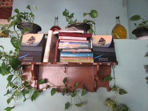 دیوان غزلیات دشت مینا