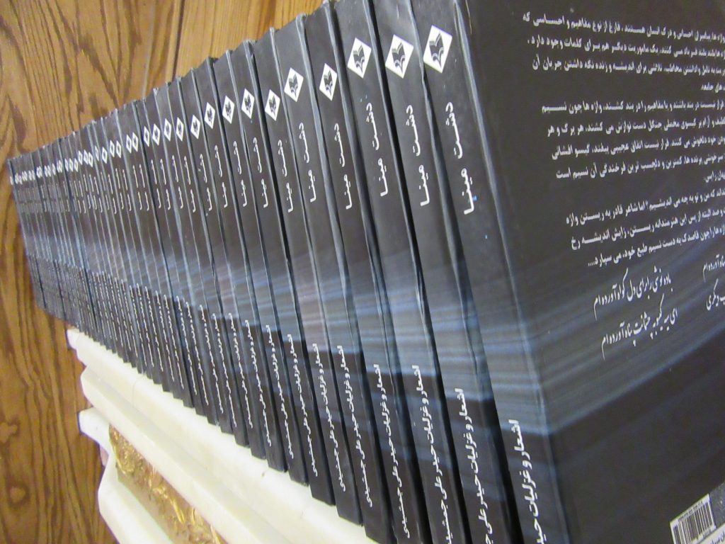 دشت مینا