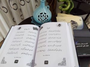 دشت مینا
