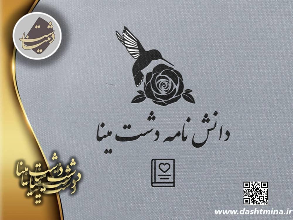 دانشنامه دشت مینا