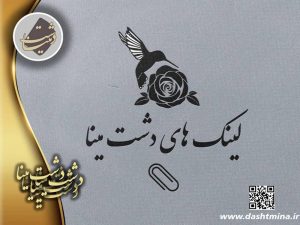 لینک های دشت مینا