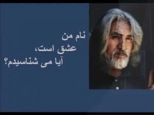 منزوی زنجانی